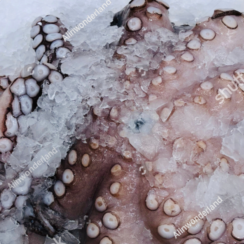 Spanish Octopus Frozen Main Image